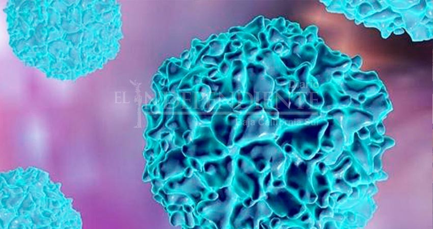 Por Día Mundial contra la Polio, invitan a concientizar sobre enfermedades