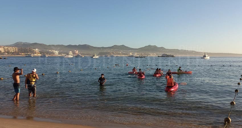 Con reconocimiento al personal de Zofemat Los Cabos, clausuran La Semana Nacional por la Conservación
