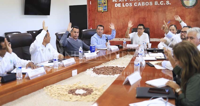 Realizan la 1ra sesión del Comité Municipal Red para la protección de la Tortuga Marina de Los Cabos