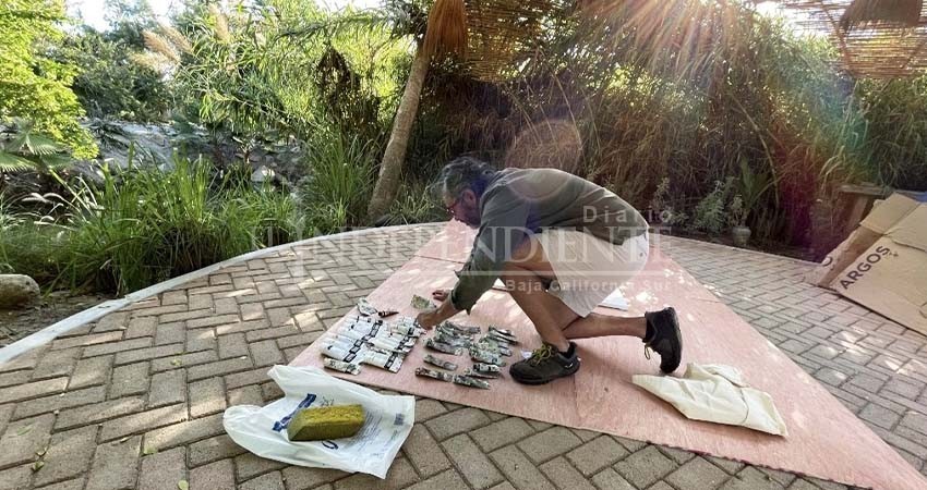 Artista plástico reconocido internacionalmente visita Los Cabos