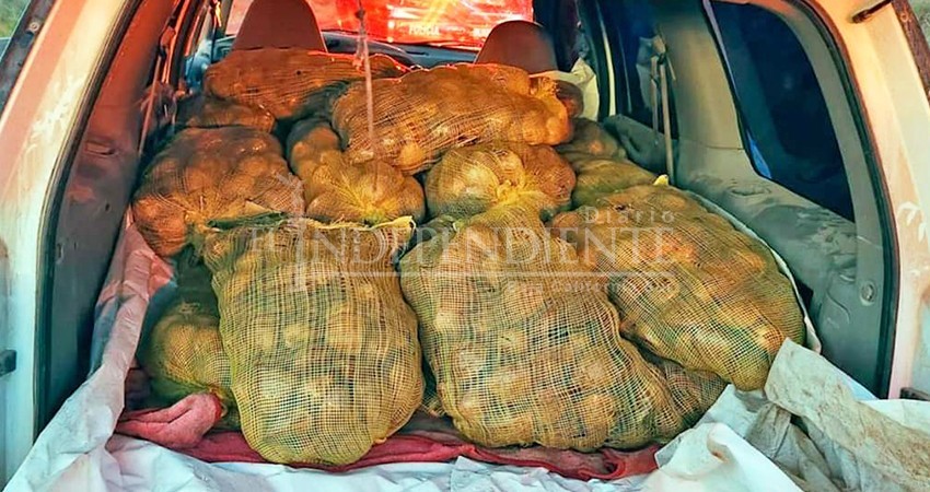 Nuevamente, se devuelven una tonelada de almejas chocolatas al mar