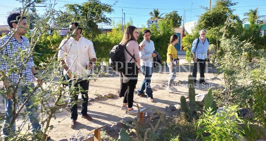 Promueven los Oasis Urbanos alrededor de la ciudad de La Paz