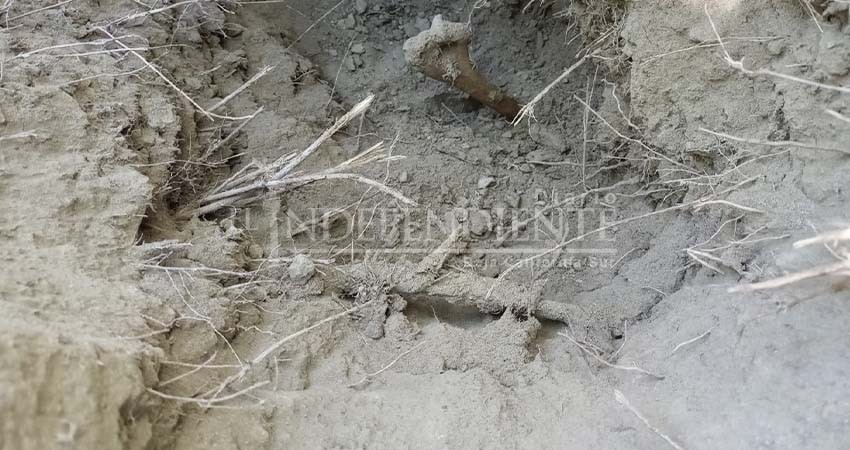 Colectivos de búsqueda localizan fosa clandestina en Los Cabos