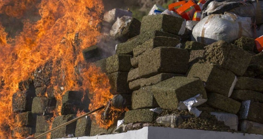 FGR incinera nueve toneladas de droga