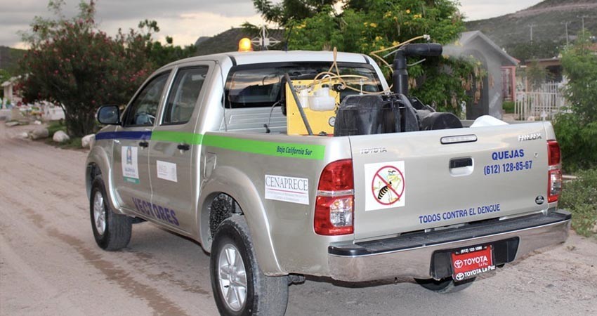 SSA logra estabilizar la incidencia de dengue en BCS