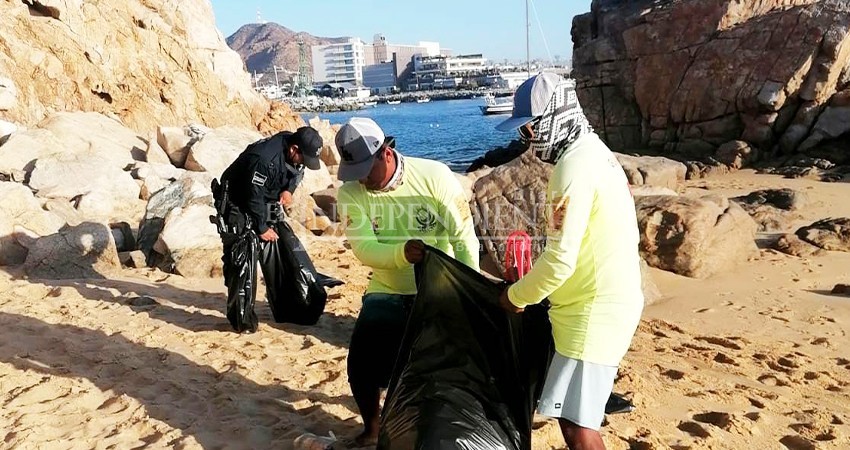 Personal de ZOFEMAT Los Cabos intensificará limpieza de playas durante la temporada navideña