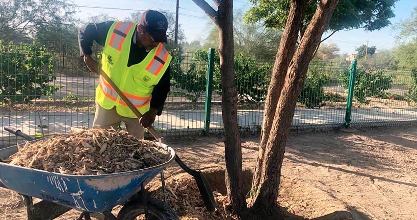 Aplica Servicios Públicos composta en el Panteón Jardines del Recuerdo