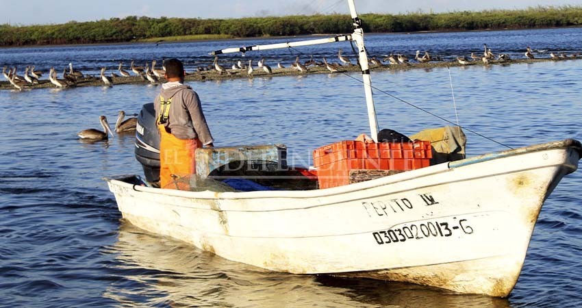 Cerrará BCS el 2022 con más de 2 mil pescadores inscritos al programa Seguro de Vida