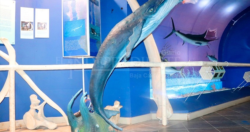 Visitar el Museo Natural de Historia en CSL, una excelente opción para la convivencia familiar