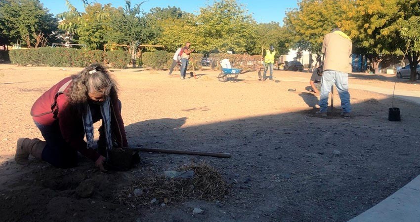 Reforesta Servicios Públicos de La Paz cinco parques en la ciudad