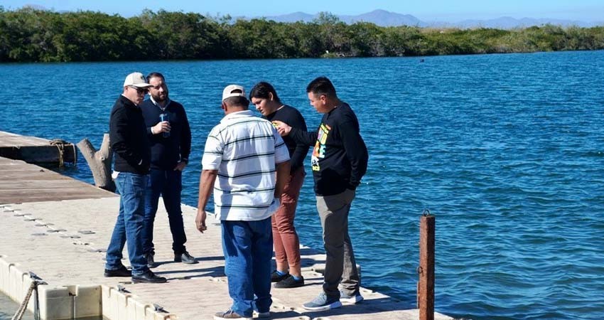 Supervisa PC seguridad en Puerto Chale previo al avistamiento de Ballena Gris
