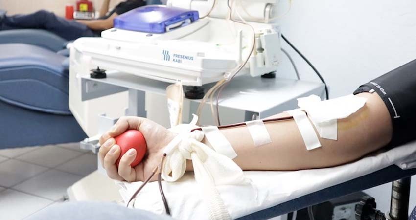 Donación voluntaria de sangre, hábito altruista y saludable: SSA