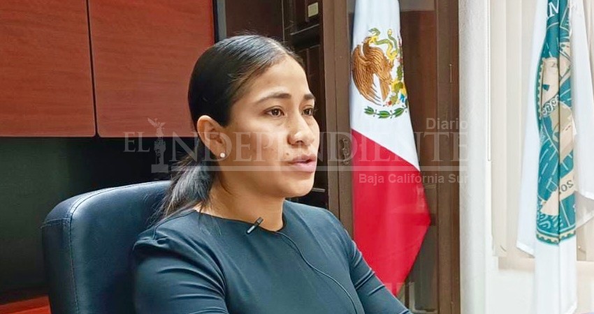 Se coordinan las corporaciones de seguridad para la búsqueda de Tacomas robadas