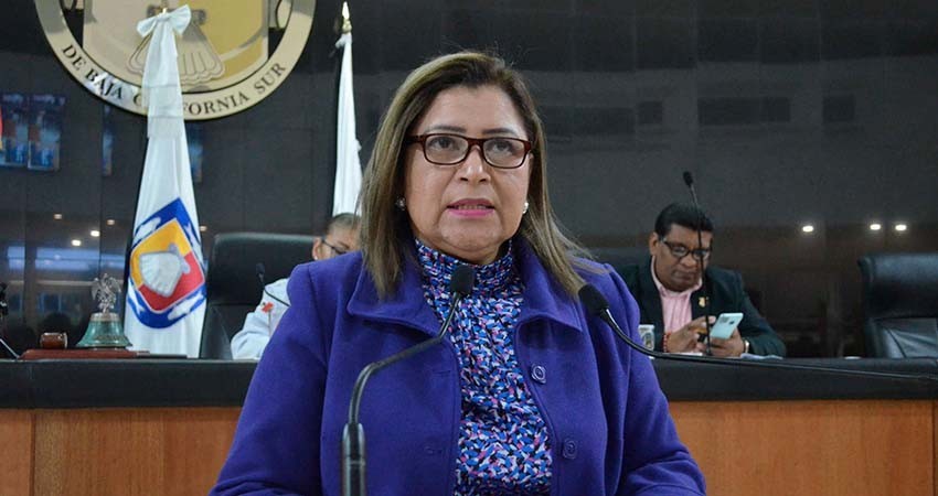Que la Alianza Estatal para Erradicar la Violencia Contra las Mujeres atienda la ola de violencia: diputada Ojeda Gonzalez