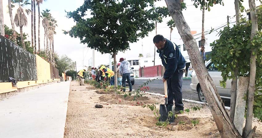 Aplica Servicios Públicos 600 kilos de composta en la BENU