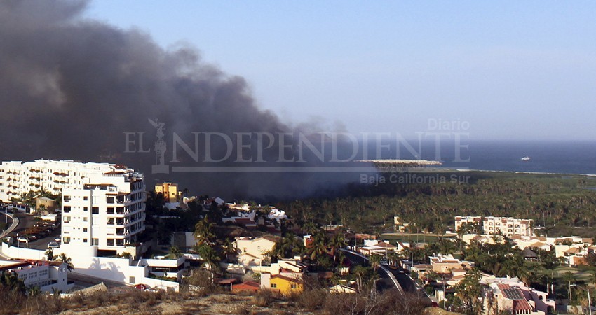 Trabajan en Plan de Manejo de incendios para zona de palmares en Santiago
