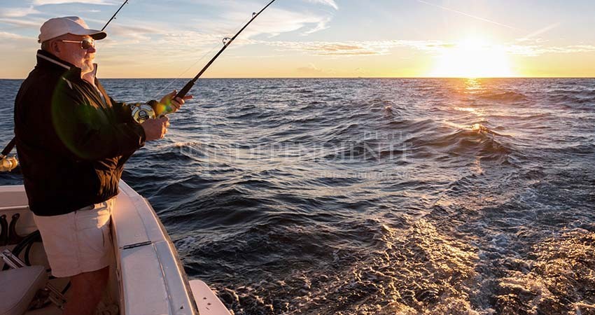 Pesca deportiva, la actividad turística que mayor derrama económica genera a Los Cabos