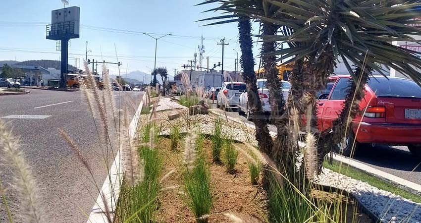 A través de Bulevares Integrales se embellece la imagen urbana de La Paz: Malpica Nava