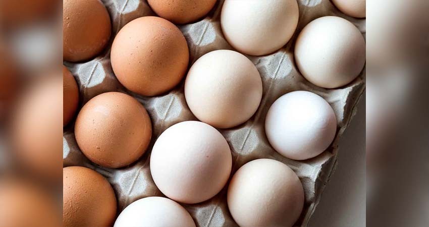 ¿Por qué el precio del huevo está en las nubes?