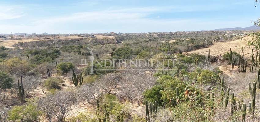 Negocia Ayto. de Los Cabos con Banco Invex para adquisición de terrenos