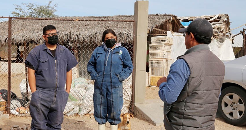 Se suma Ayuntamiento de La Paz a las brigadas de monitoreo en granjas avícolas