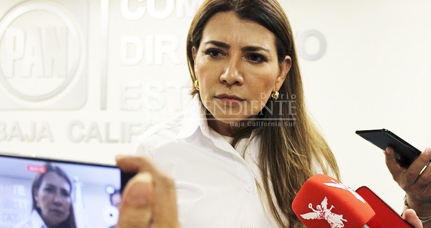 Reclama líder del PAN a Castro Cosío rapidez de la evaluación de daños del 8M