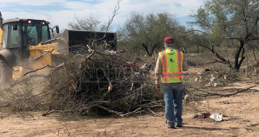 Avanzan trabajos de poda y limpieza en un predio de la colonia Indeco de La Paz