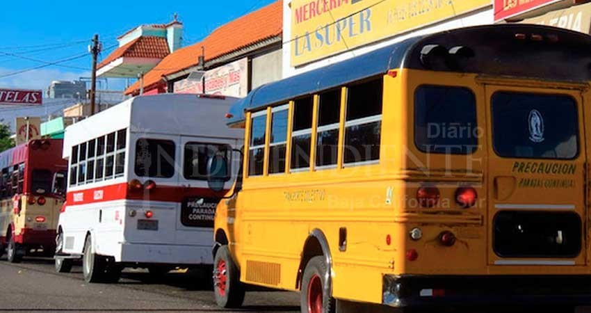 Hasta 30 MDP se invertirán para la modernización de transporte: Milena Quiroga