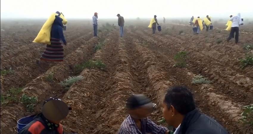 Beneficiará a jornaleros de El Vizcaíno ampliación de clínica IMSS- Bienestar