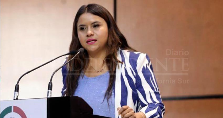 Pide la diputada Vázquez Jacinto ante diputados federales más recursos para seguridad en BCS