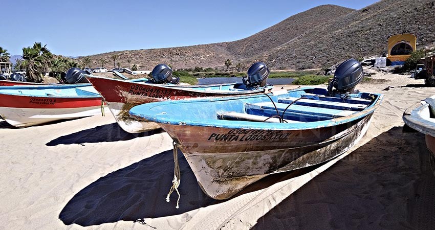 Presenta SEPADA programas de apoyo al sector pesquero y acuícola 2023