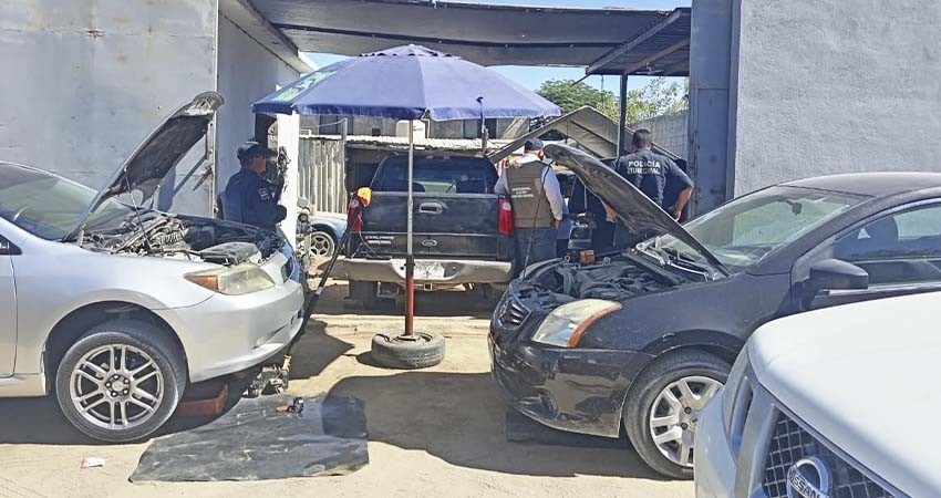 Más de 100 operativos enfocados a la regularización y supervisión de giros comerciales se ha desplegado en Los Cabos este 2023