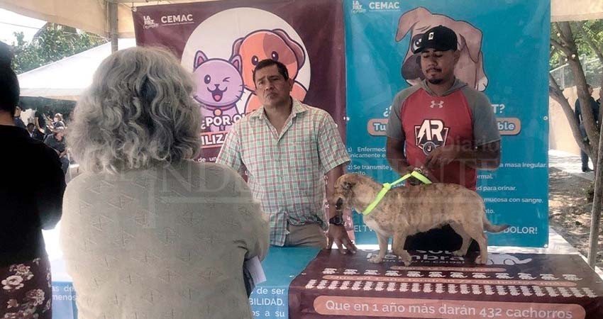 Promueve CEMAC la adopción de mascotas en las audiencias ciudadanas