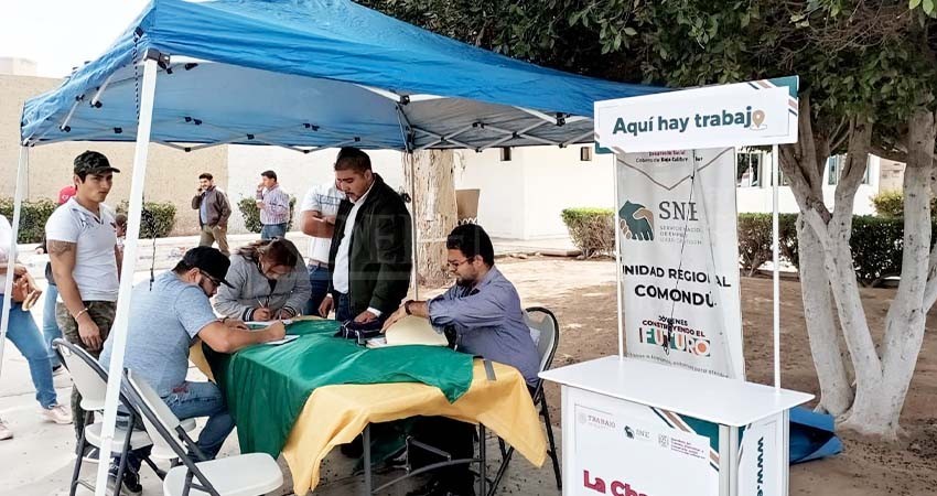 En lo que va del 2023 el SNE-BCS ha colocado 1,200 personas en empleo formal