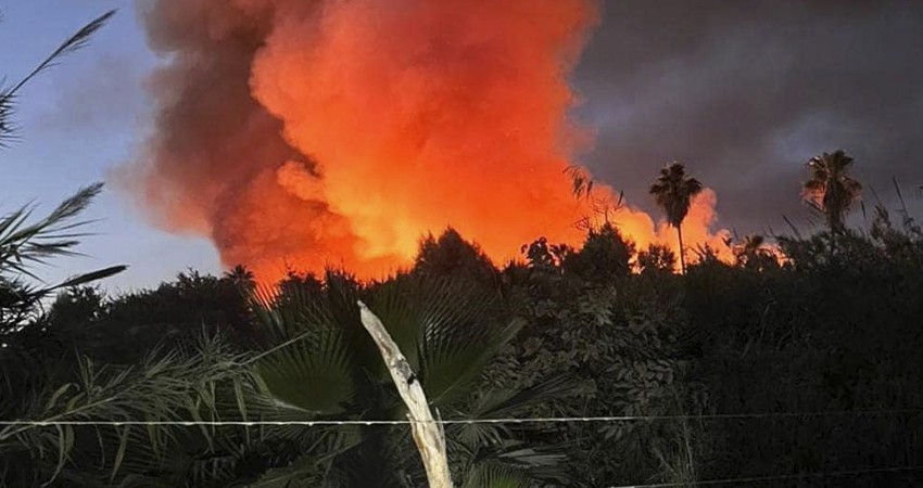 Todo indica que el incendio del estero en SJC fue provocado: SEMARNAT
