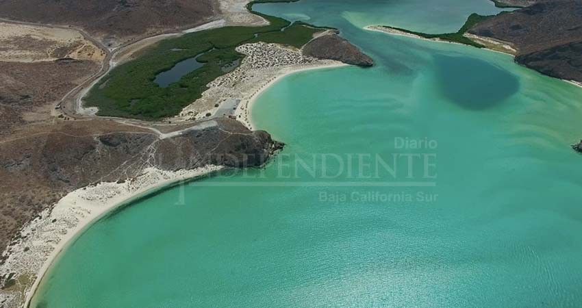 Reforzarán vigilancia en Balandra: Protección Civil BCS