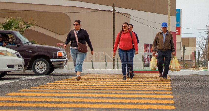Avanza integración de Ley de Movilidad para BCS: Guerrero Cruz