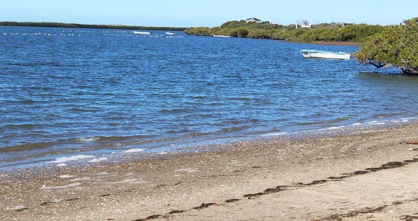 Trabaja gobierno de BCS en la certificación de cuerpos de agua