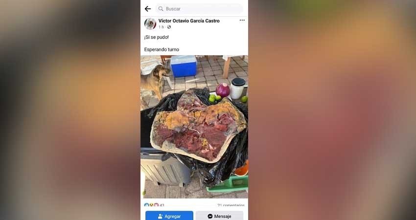 Denuncian en redes a figura política por consumir carne de tortuga