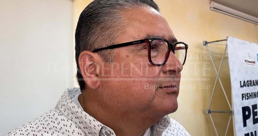 Preparan campaña para que restaurantes eliminen el marlín y dorado del menú