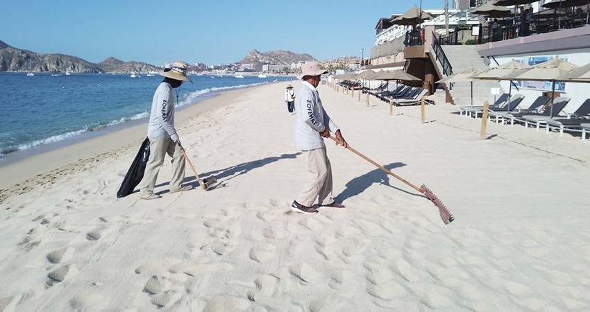 Zofemat Los Cabos mantiene de manera permanente acciones de limpieza en playas