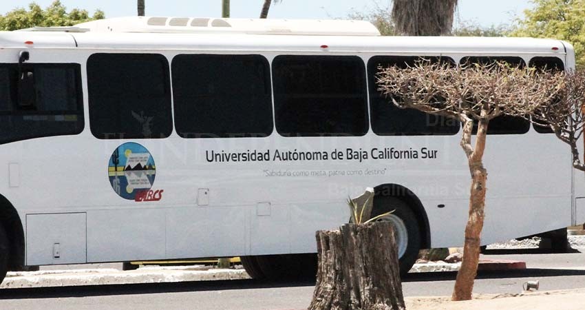 El Congreso no realizará reformas a la Ley Orgánica de la UABCS: Avilés Castro