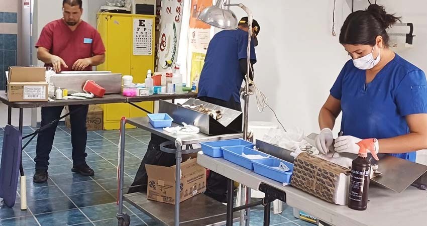 Realiza CEMAC Campaña de Esterilización Canina y Felina en colonia Agustín Olachea