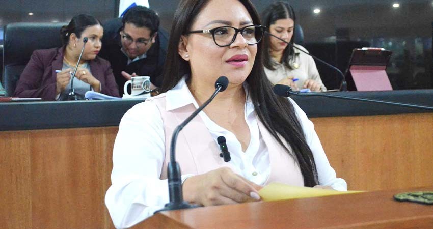 Se pronunció la Diputada Paz del Alma Ochoa Amador para que exista en la próxima legislatura mayor representación de mujeres