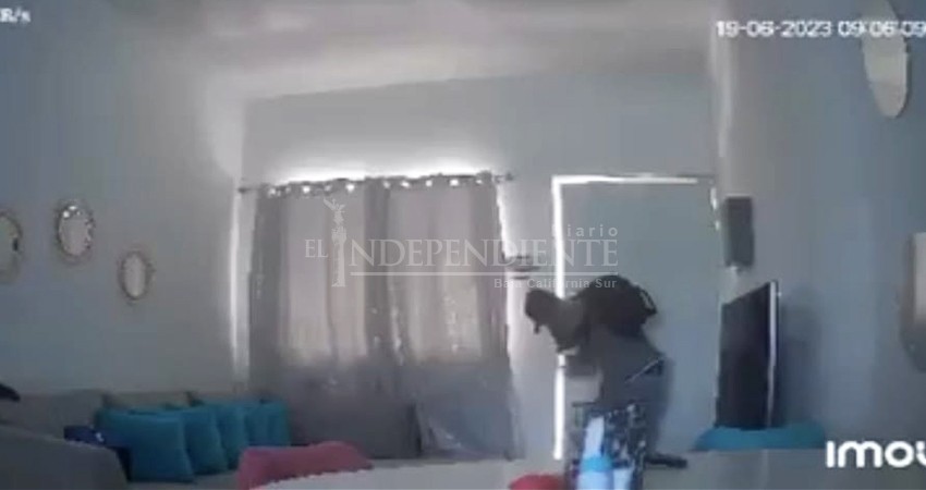 ¡Así roban en CSL!; difunden video de robo a casa habitación