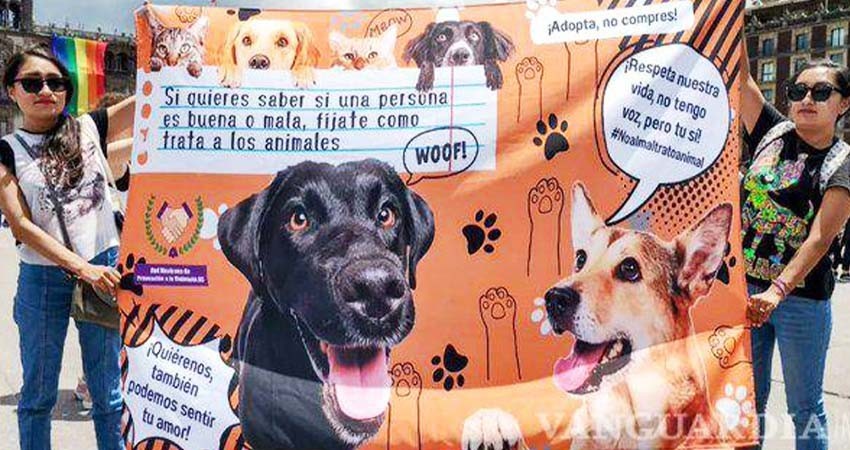 Marcha por los Animales: miles exigen alto al maltrato animal