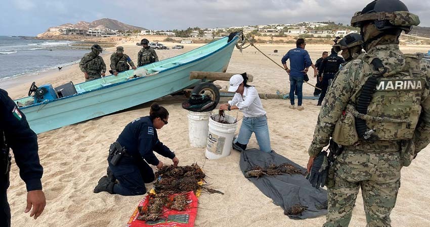 De nuevo, SEMAR asegura embarcaciones y producto marino