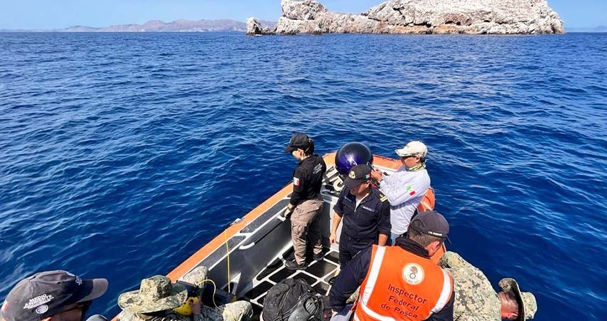 FGR retira más de seiscientos metros de red pesquera que ocasionó daños al ecosistema marino en BCS