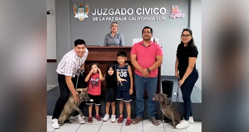 Formaliza CEMAC adopción de 13 perritos durante junio