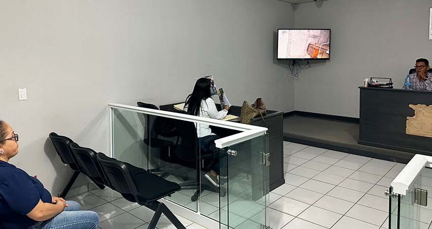 Formalizan en Los Cabos la primera audiencia contra una persona por maltrato animal